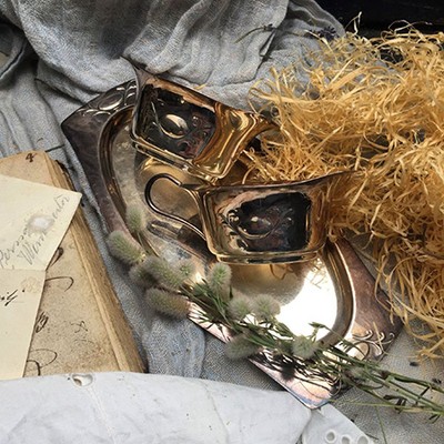 Поднос сталь