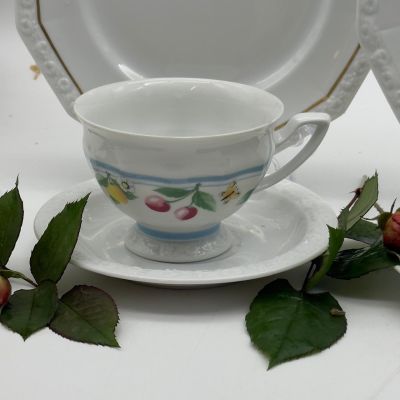 Чайная пара Rosenthal Classic Rose Фрукты 200 мл Германия 