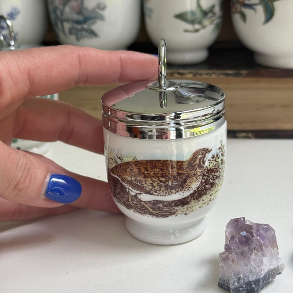 Кодлер на 1 Яйцо Royal Worcester Куропатка и Заяц Англия