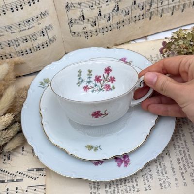 Чайное трио Unger & Schilde Roschutzer Гвоздики 250 мл Германия