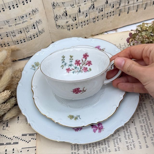 Чайное трио Unger & Schilde Roschutzer Гвоздики 250 мл Германия