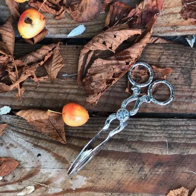 Ножницы-щипцы для сахара 13,5 см хромирование