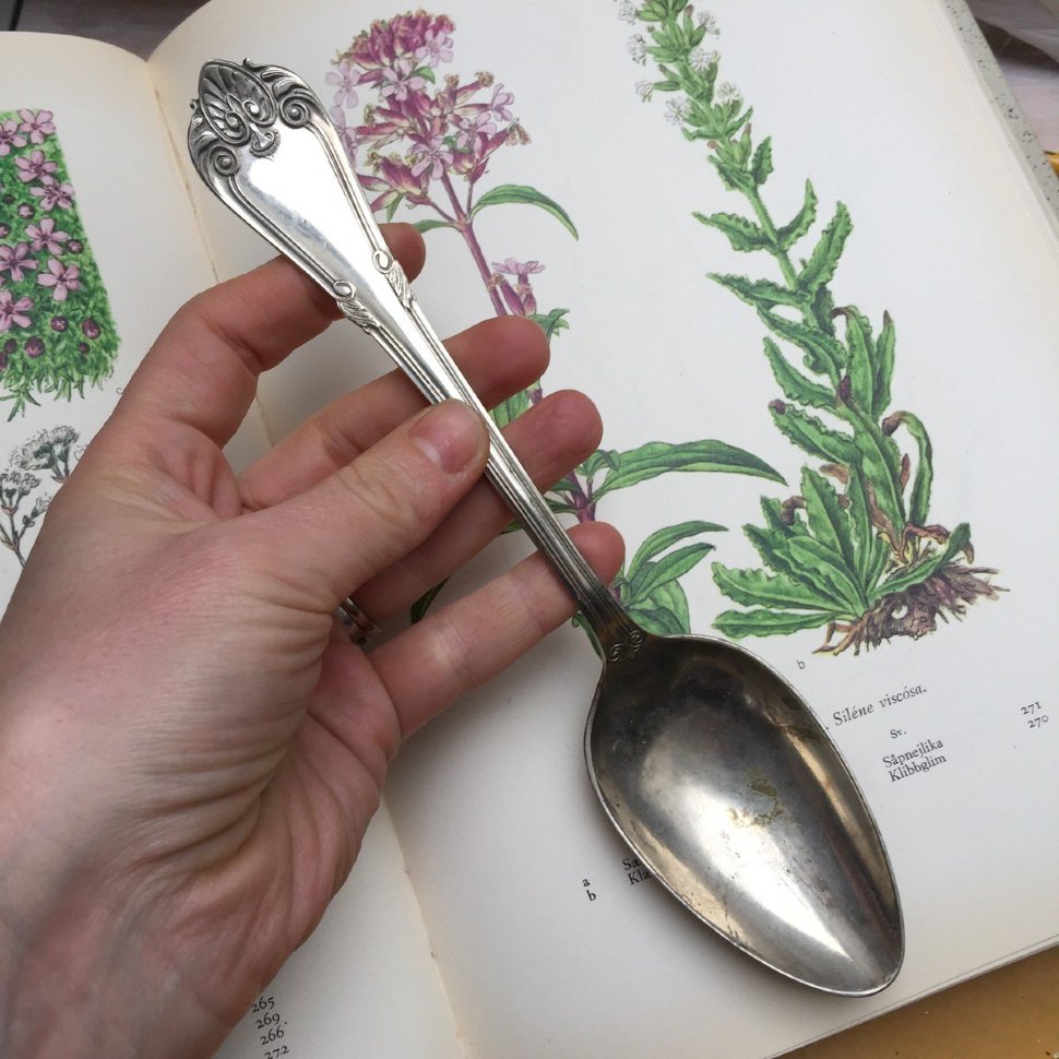 Ложка столовая узор «Кувшинка», 21,8 см