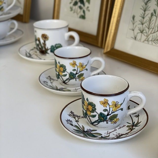 Кофейная пара Botanica ВиллеройБох 120 мл Германия