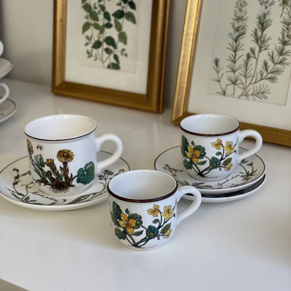 Кофейная пара Botanica ВиллеройБох 120 мл Германия