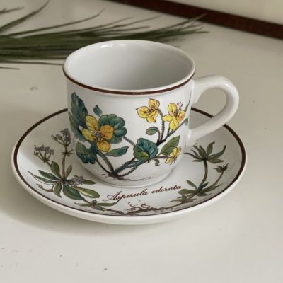 Кофейная пара Botanica ВиллеройБох 120 мл Германия