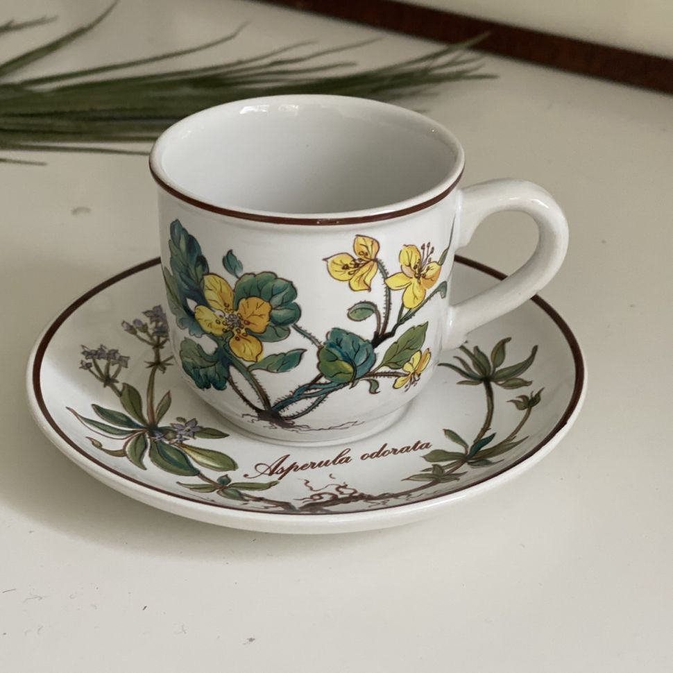 Кофейная пара Botanica ВиллеройБох 120 мл Германия