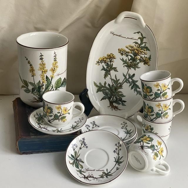 Кофейная пара Botanica ВиллеройБох 120 мл Германия