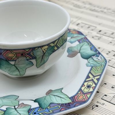 Кофейная пара ВиллеройБох Pasadena 180 мл Германия