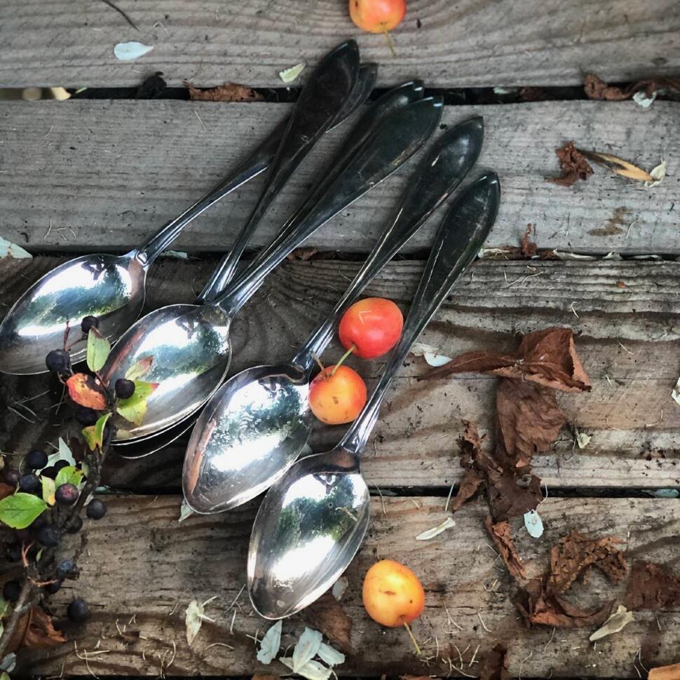 Ложка столовая Лепесток 21 см мельхиор