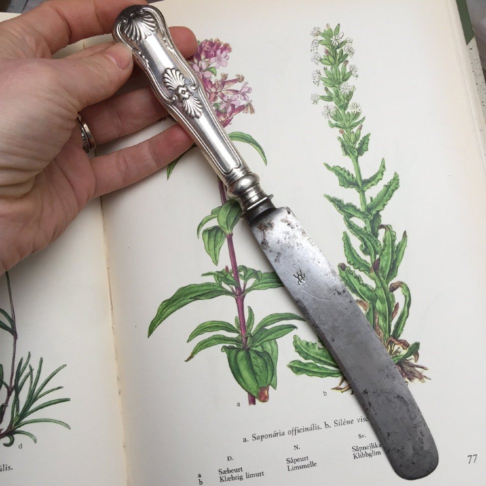 Нож столовый «Пальмовая ветвь» 25 см