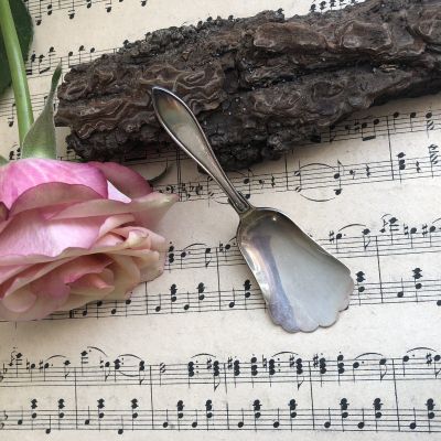 Ложка лопатка для соли и сахара ручка Лепесток