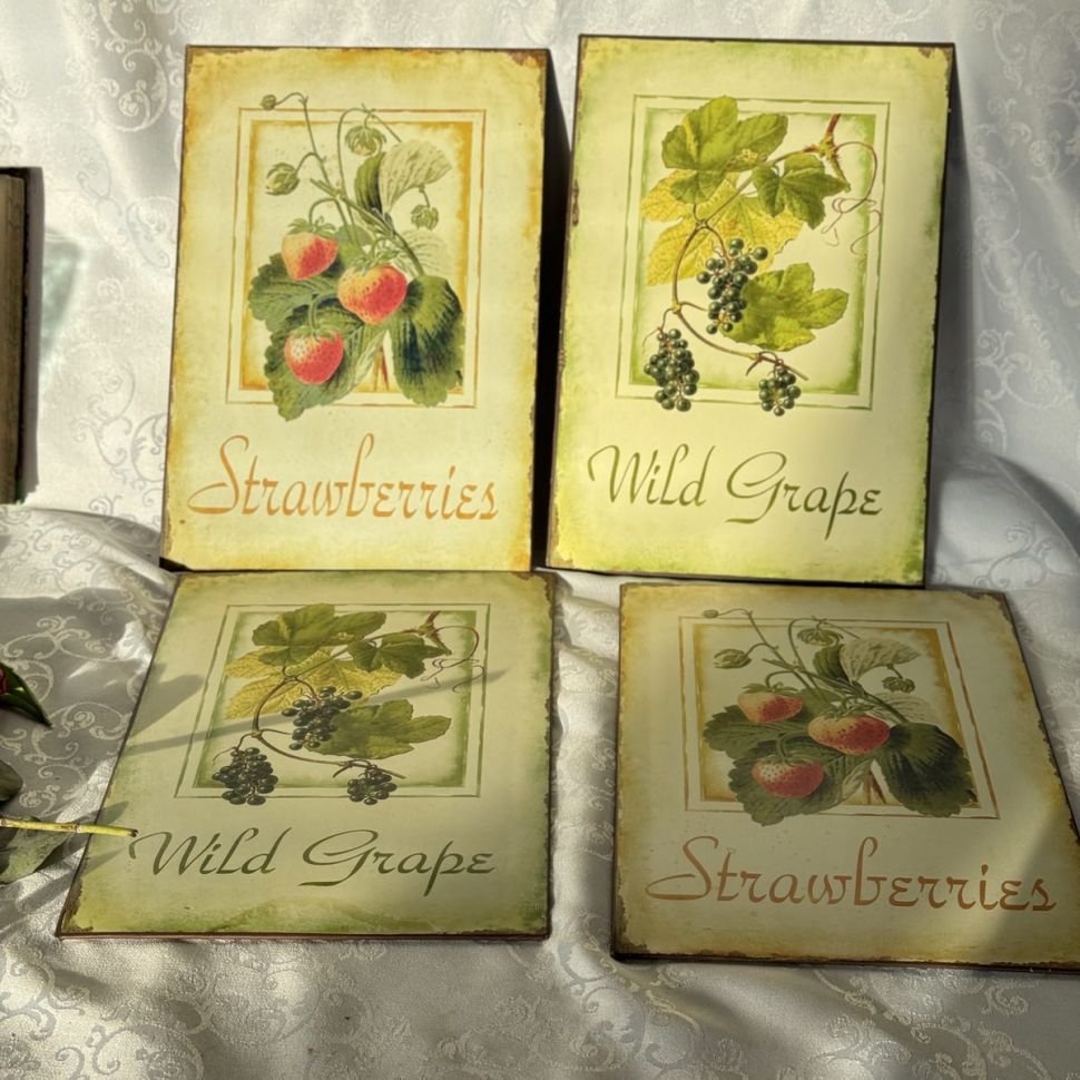 Табличка жестяная Клубника 19х28 см