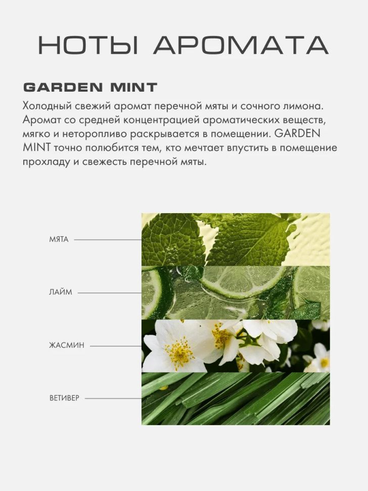 Аромадиффузор By Kaori GARDEN MINT 250 мл комплект