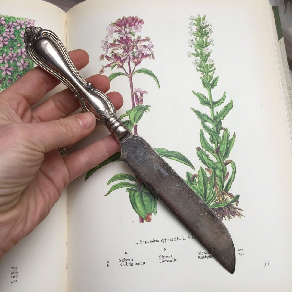 Нож столовый «Ольга», 21 см