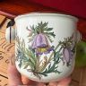 Ведро с ручками Botanica ВиллеройБох 11 см