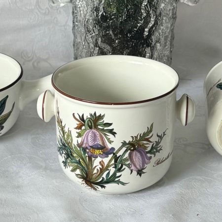 Ведро с ручками Botanica ВиллеройБох 11 см