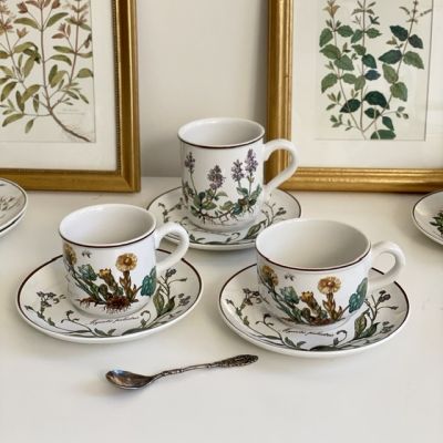 Чайная пара Botanica ВиллеройБох капучино 220 мл Германия