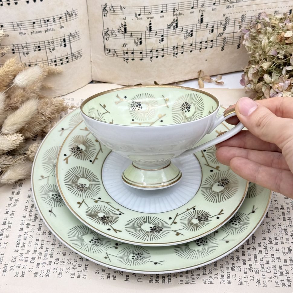 Чайное трио Von Schierholz 200 мл Германия