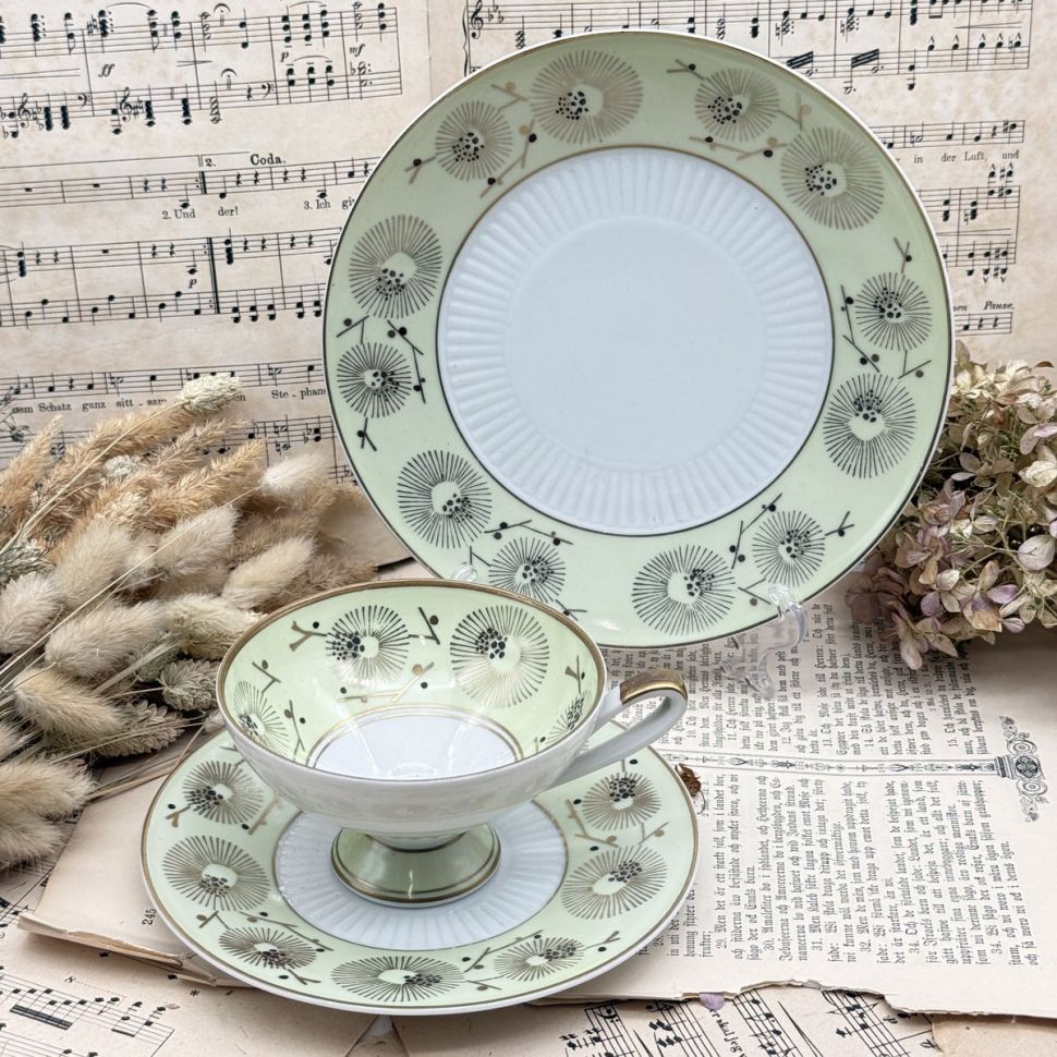 Чайное трио Von Schierholz 200 мл Германия