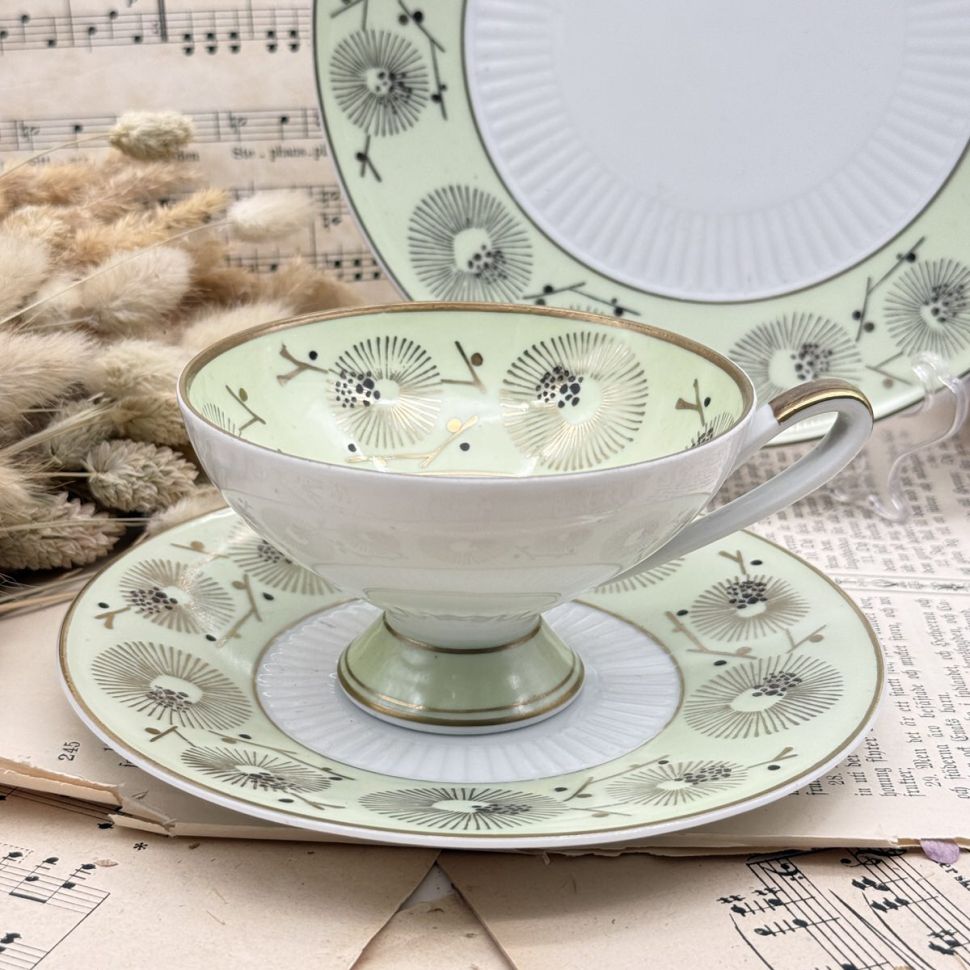 Чайное трио Von Schierholz 200 мл Германия