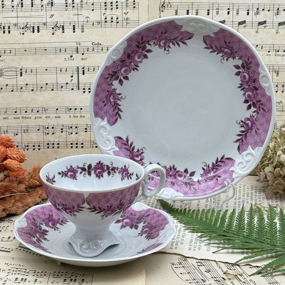 Чайное трио Martinroda 190 мл фарфор Германия 