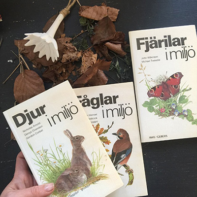 Энциклопедия книга животные средней полосы 