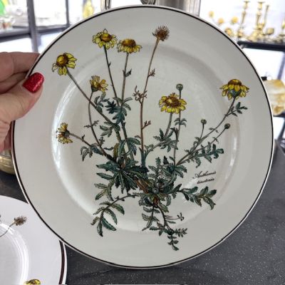 Тарелка Botanica ВиллеройБох 24 см без корешка 2 категория