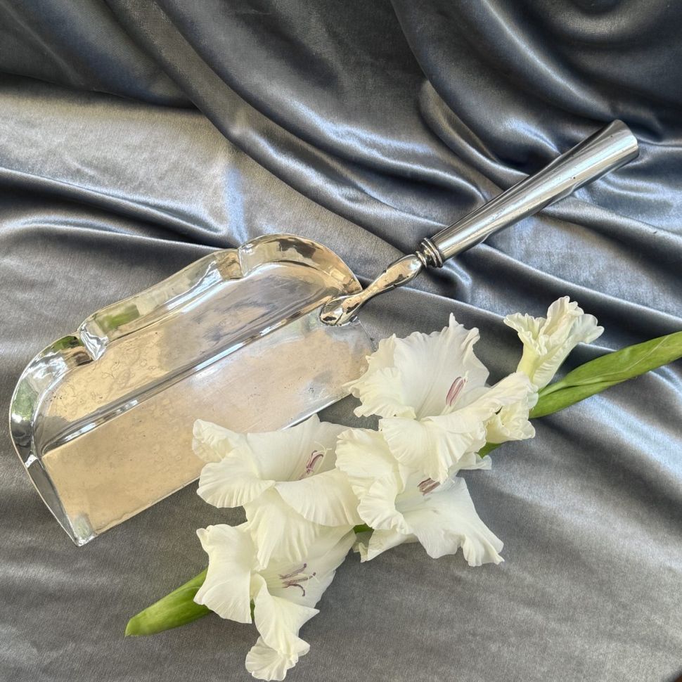 Савок для сметания крошек со стола 33 см серебрение