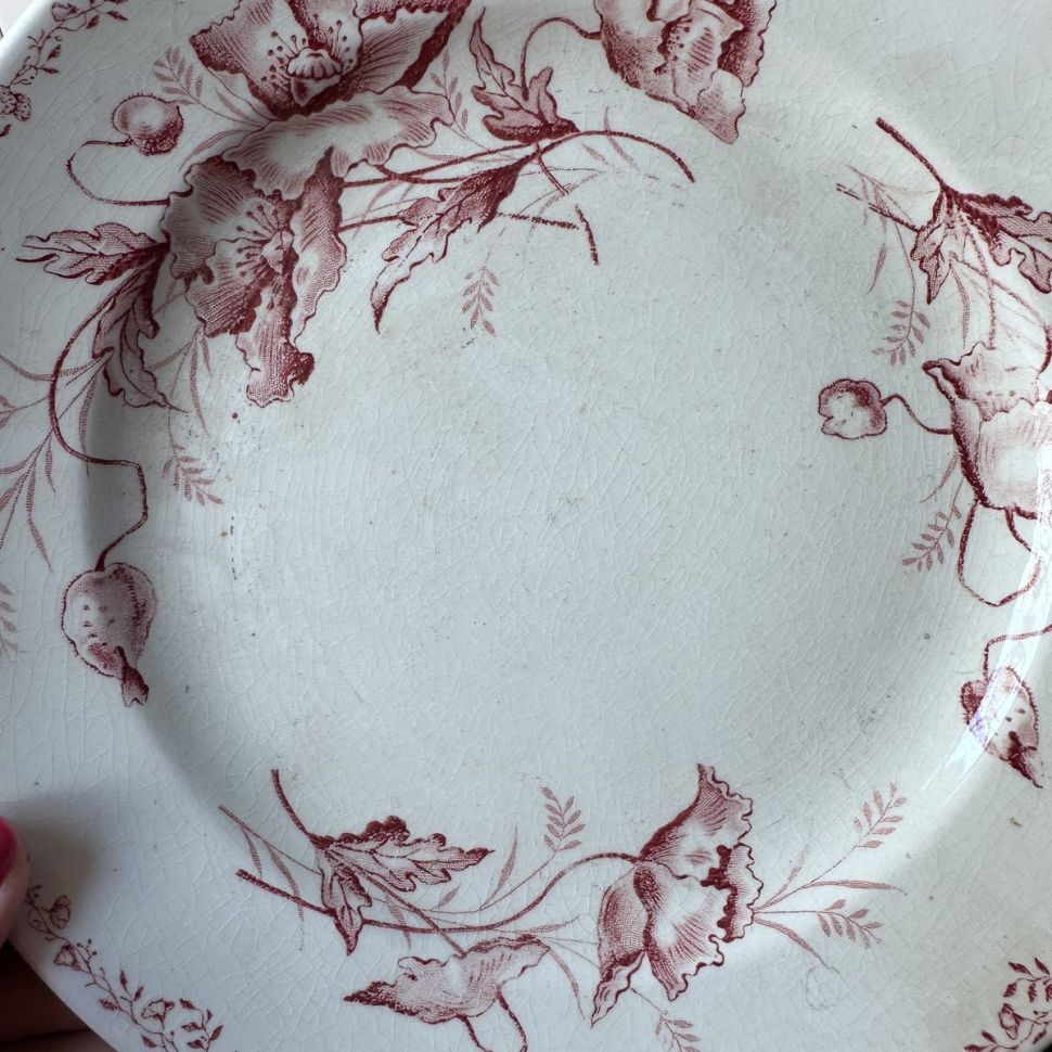 Тарелка Sphinx Maastricht 22 см Голландия 1899-1900 гг.