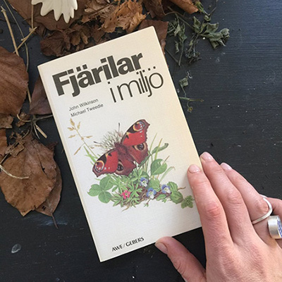 Энциклопедия книга бабочки 