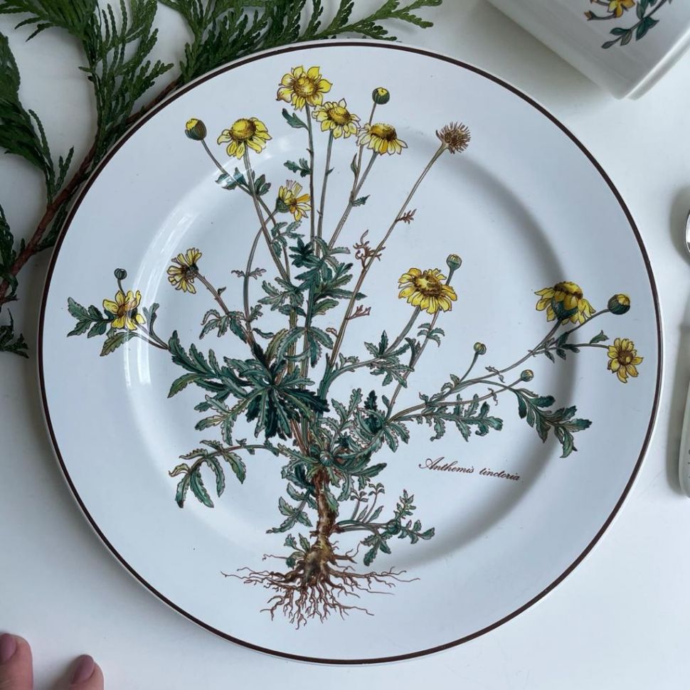 Тарелка ВиллеройБох Botanica Anthemis tinctoria 24 см