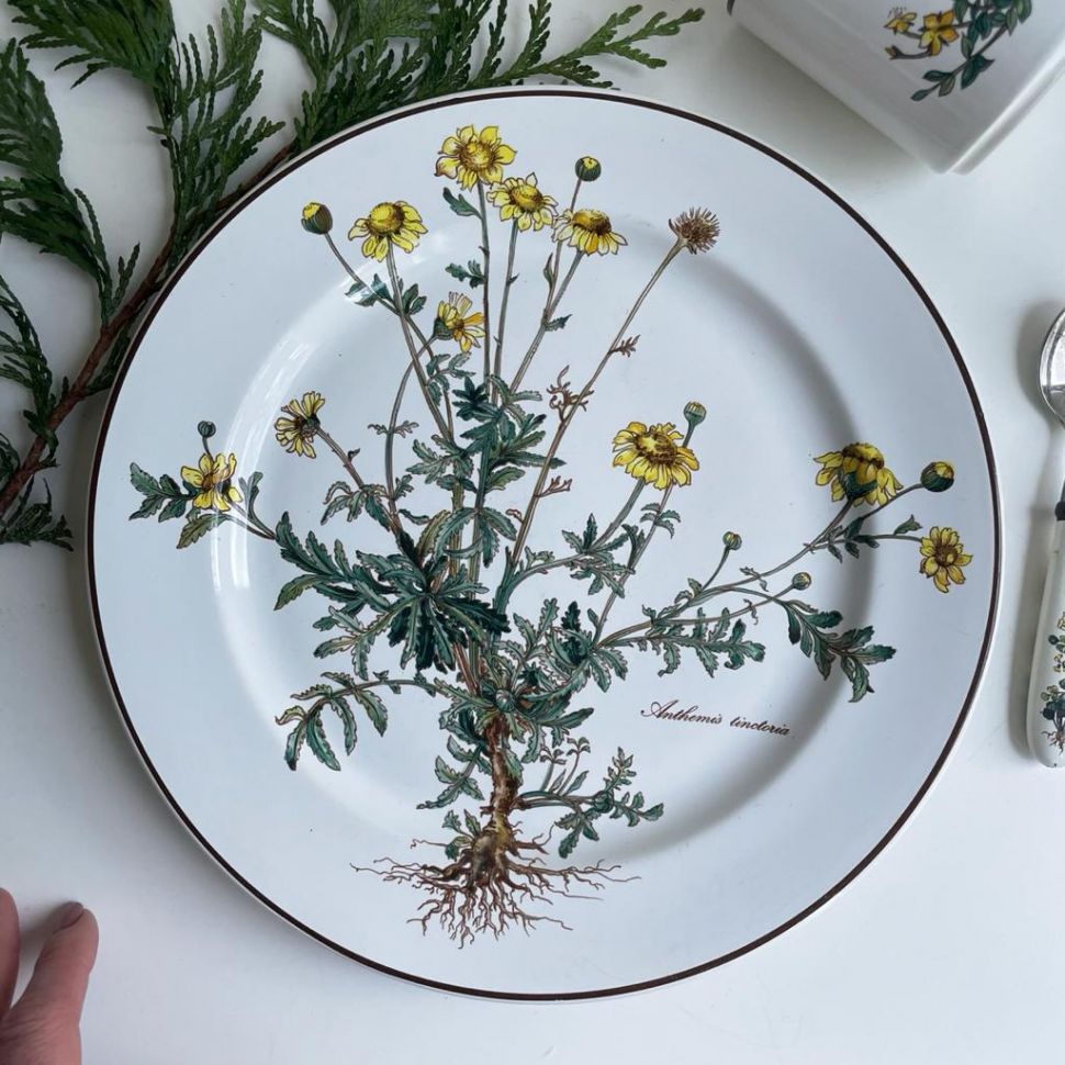 Тарелка ВиллеройБох Botanica Anthemis tinctoria 24 см