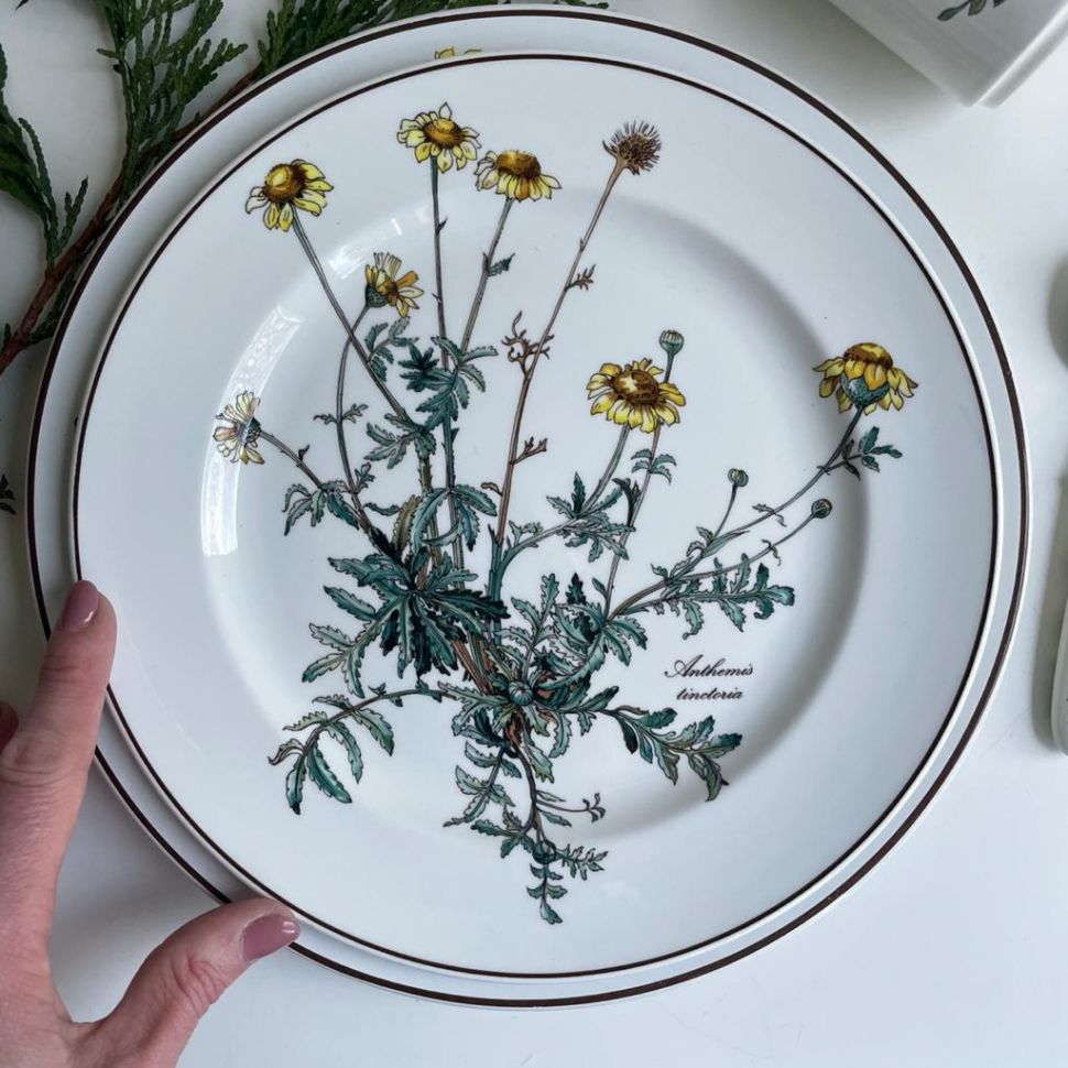 Тарелка ВиллеройБох Botanica Anthemis tinctoria 24 см