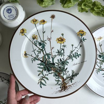 Тарелка ВиллеройБох Botanica Anthemis tinctoria 24 см