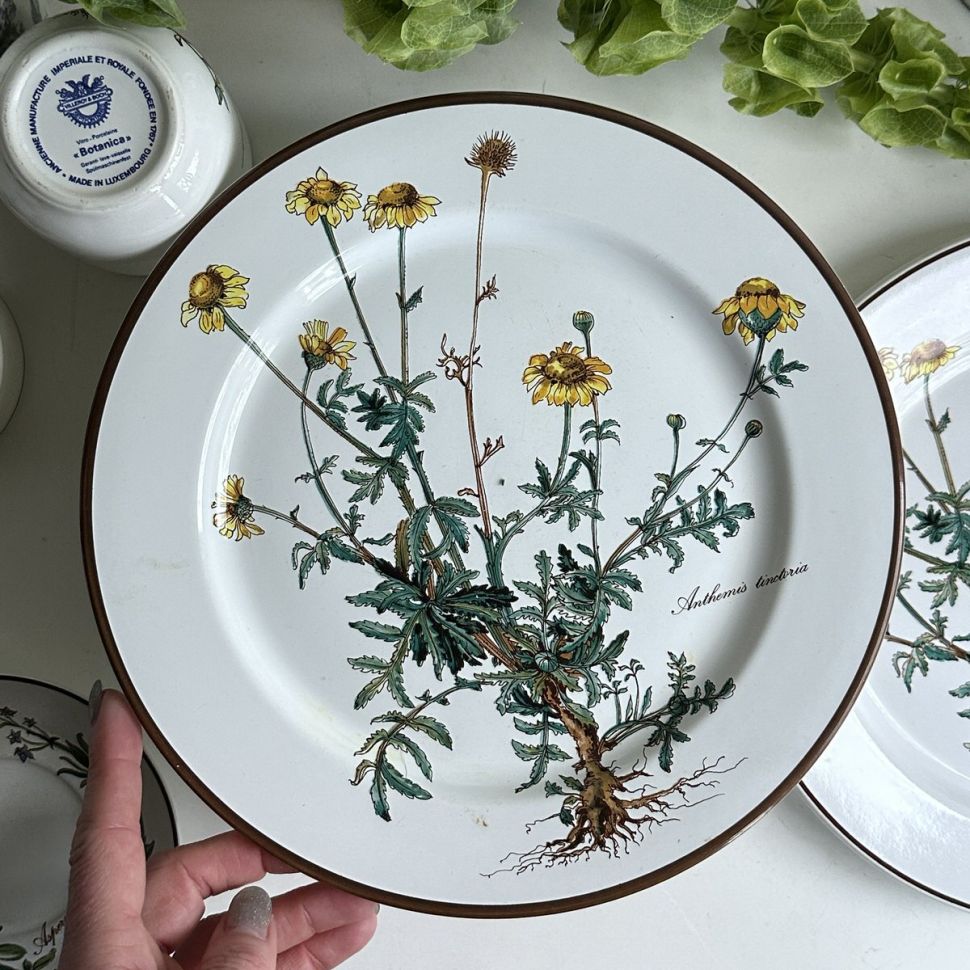 Тарелка ВиллеройБох Botanica Anthemis tinctoria 24 см