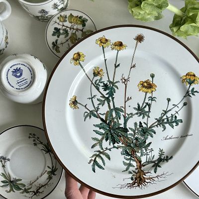 Тарелка ВиллеройБох Botanica Anthemis tinctoria 24 см