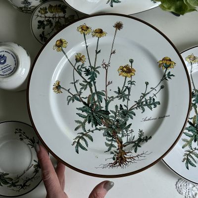 Тарелка ВиллеройБох Botanica Anthemis tinctoria 24 см