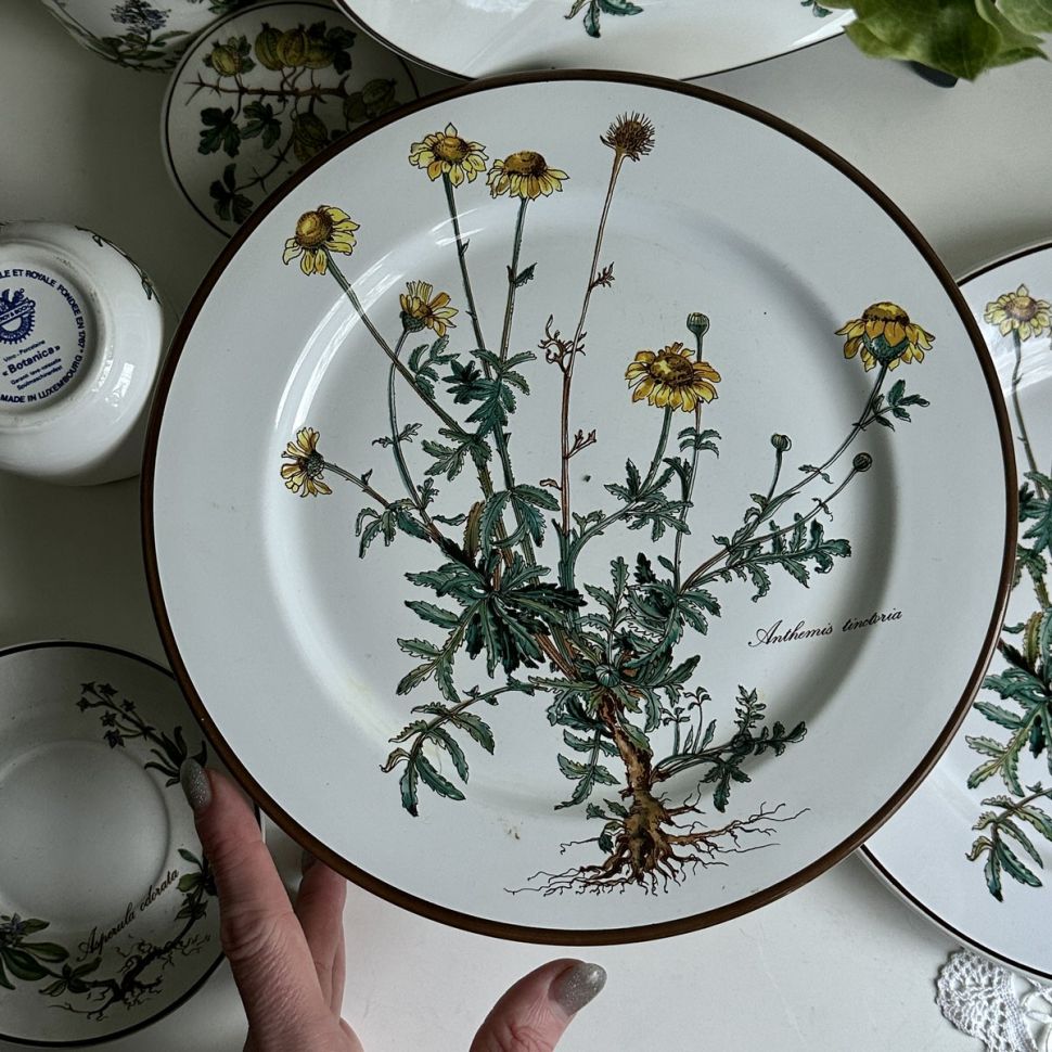 Тарелка ВиллеройБох Botanica Anthemis tinctoria 24 см