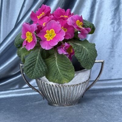 Сахарница 19 см мельхиор серебрение Англия