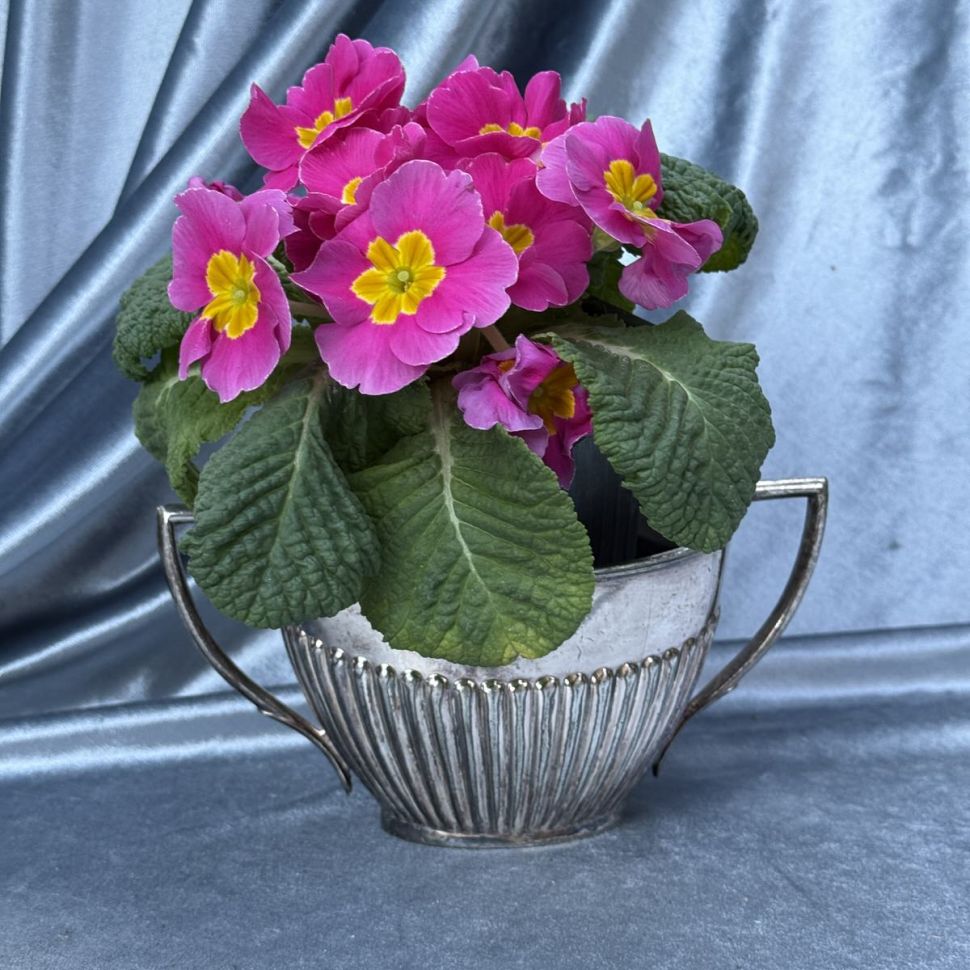 Сахарница 19 см мельхиор серебрение Англия