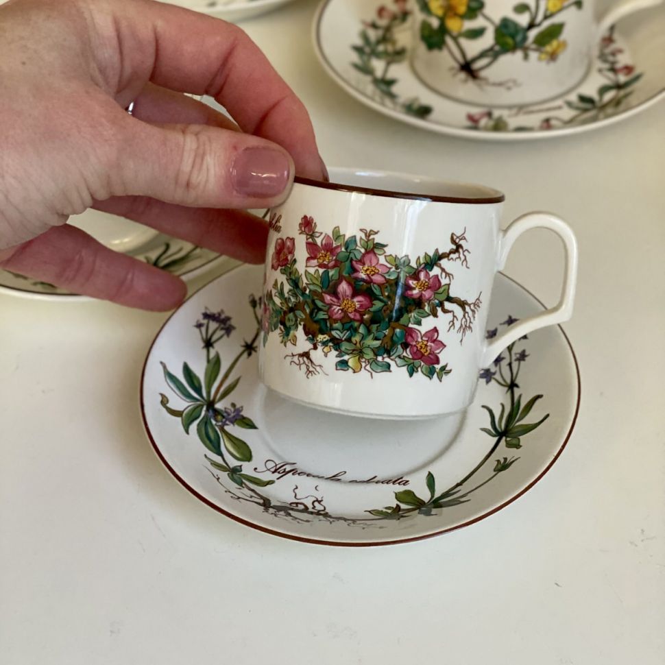 Кофейная пара Botanica DE ВиллеройБох 120 мл