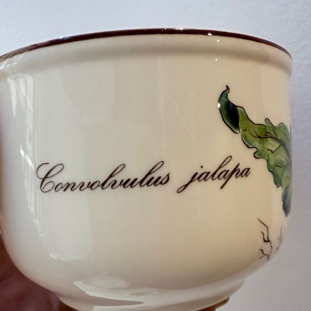 Сахарница миска Botanica ВиллеройБох  