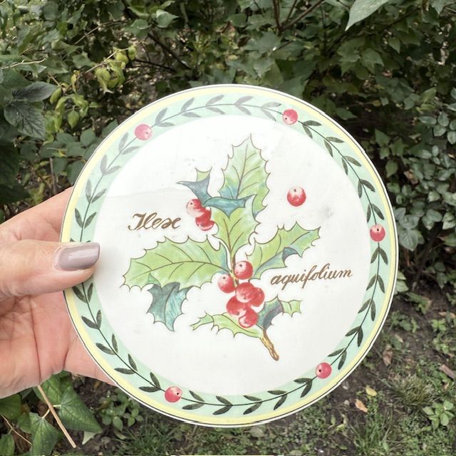 Шкатулка French Garden Christmas ВиллеройБох 15 см 