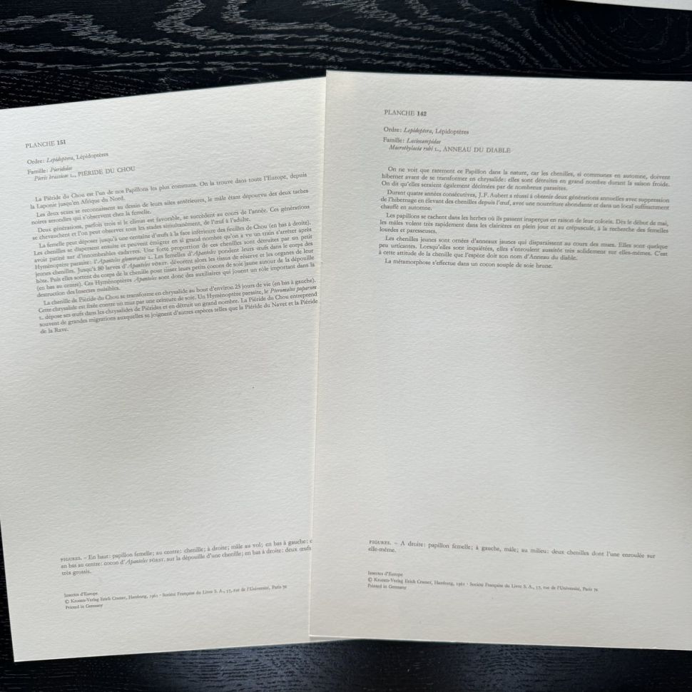 Литография 27х19 см Insectes d'Europe 2 шт стр. 151/142