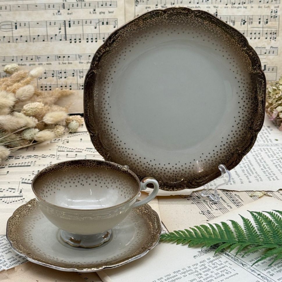 Чайное трио D&R Weissenstadt. 200 мл Германия 90 лет