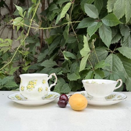 Чайная пара Queen's Daisy Bountryside Series 180 мл Англия  