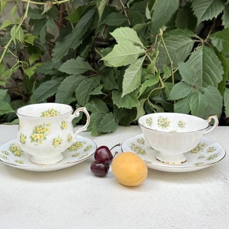 Чайная пара Queen's Daisy Bountryside Series 180 мл Англия  