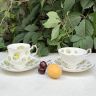 Чайная пара Queen's Daisy Bountryside Series 180 мл Англия  