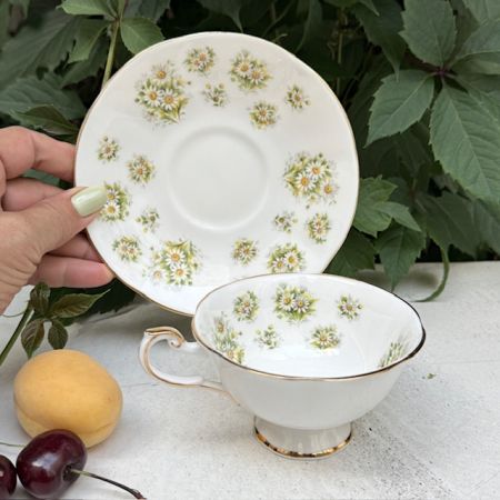 Чайная пара Queen's Daisy Bountryside Series 180 мл Англия  